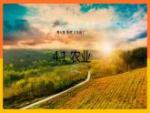 4.1 农业（课件+教学设计+学案+练习）