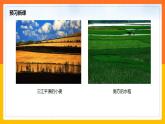 4.1 农业（课件+教学设计+学案+练习）