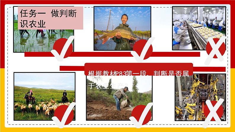 第12课《农业》（课件+教案+学案+练习）04