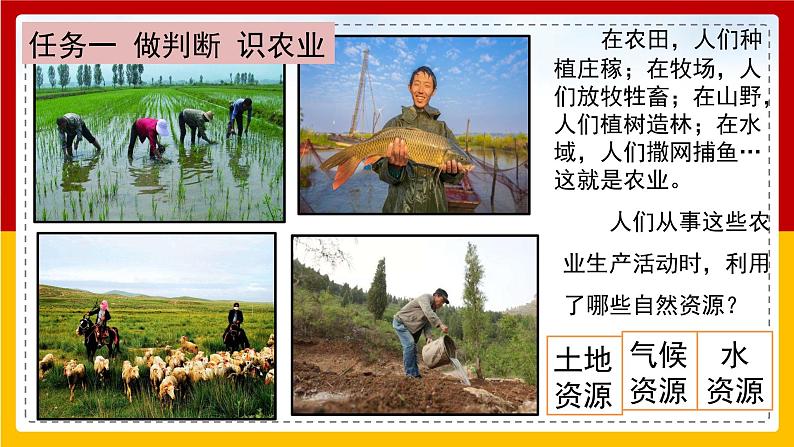 第12课《农业》（课件+教案+学案+练习）05