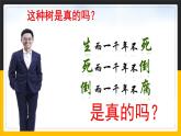 8.2干旱的宝地 塔里木盆地 课件+教案+练习+学案