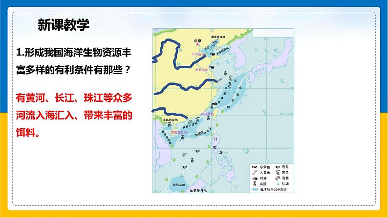 第11课《中国的海洋资源》 课件第5页