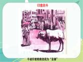 七地下 湘教版 课件7.2 南亚