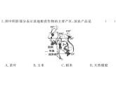 湘教版七年级地理下册第一节  东南亚  第2课时  东南亚的物产和国家习题课件