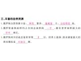 湘教版七年级地理下册第三节  俄罗斯  第1课时  俄罗斯的位置、地形、气候和自然资源习题课件