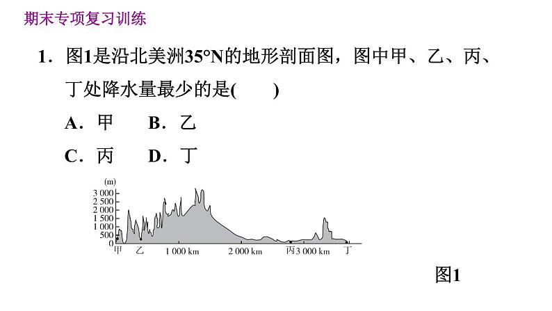 晋教版七年级下册地理 期末专项训练三　西半球的国家 习题课件03