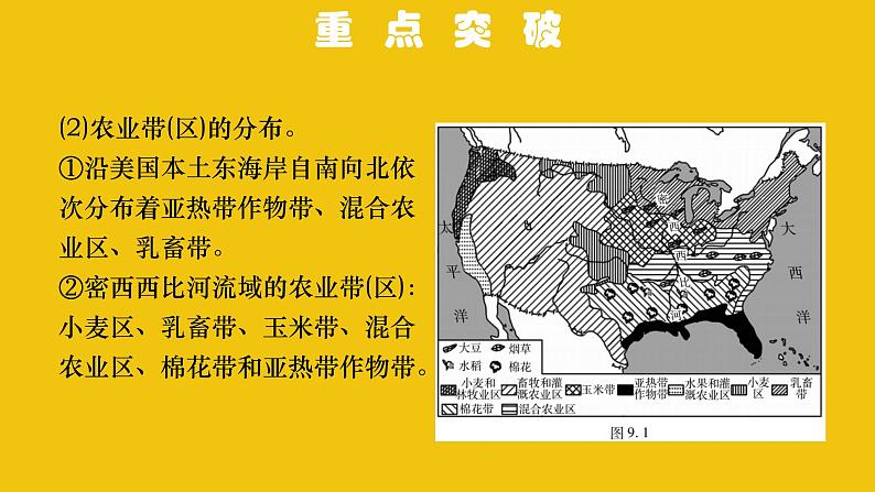 中考地理总复习9.专题九西半球的国家极地地区PPT课件05