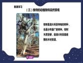 7.3.2澳大利亚（课件+教案 +练习+学案）