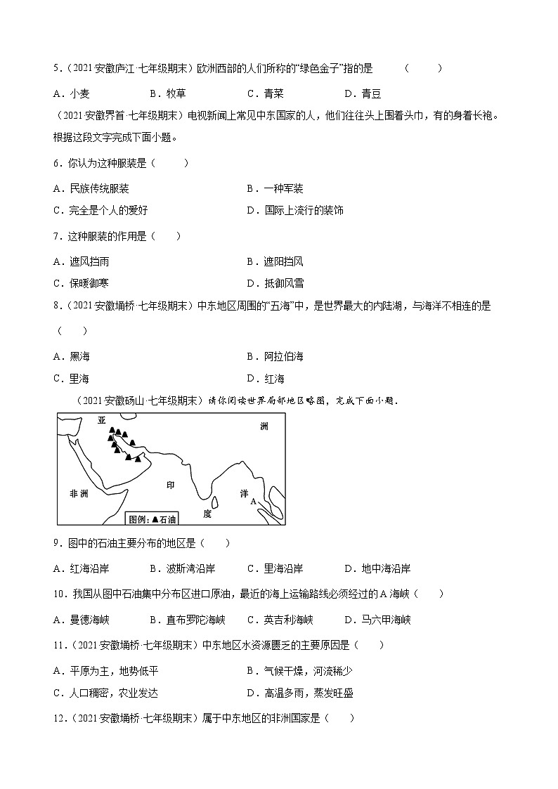 人教版七年级下册 8.1 中东练习题第2页
