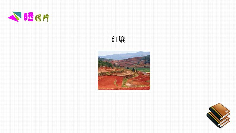 人教版八年级地理下册第七章《 南方地区》素养课件08