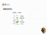 人教版八年级地理下册第八章《西北地区》素养课件