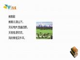 人教版八年级地理下册第八章《西北地区》素养课件