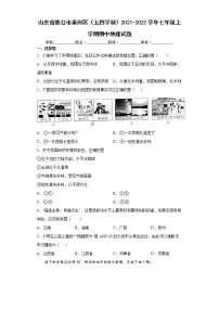 山东省烟台市莱州区（五四学制）2021-2022学年七年级上学期期中地理试题（word版 含答案）