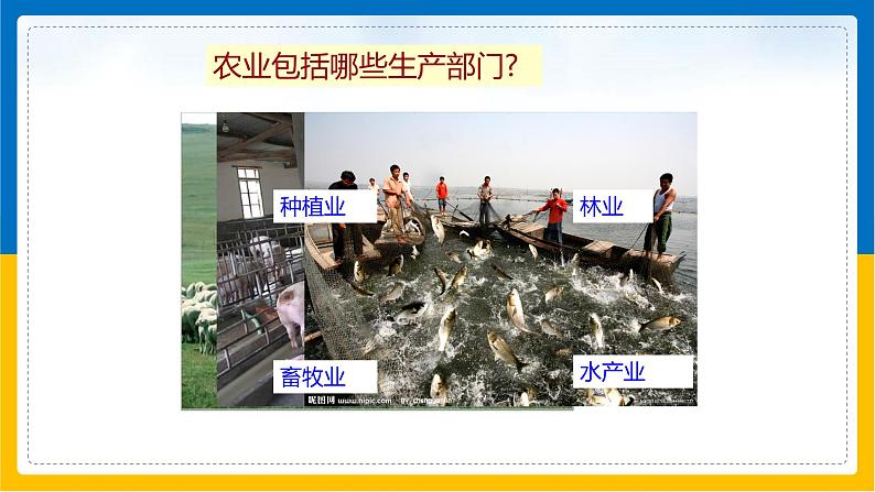 第12课《农业》（课件+教案+学案+练习）04