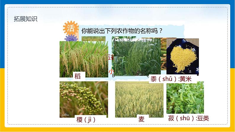 第12课《农业》（课件+教案+学案+练习）06