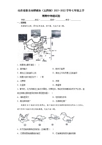 山东省泰安市肥城市（五四制）2021-2022学年七年级上学期期中地理试题（word版含答案）