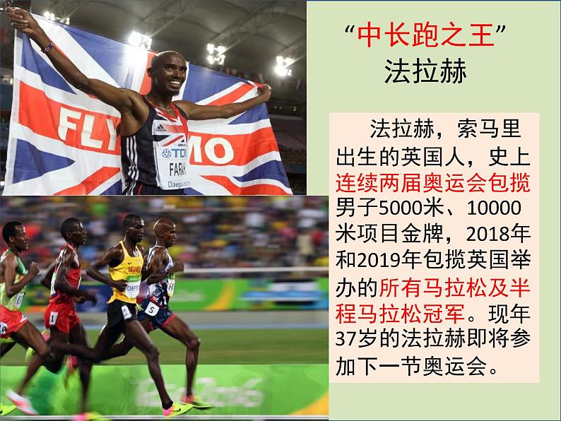 2021-2022学年人教版地理七年级下册第八章第三节《撒哈拉以南的非洲》课件第2页