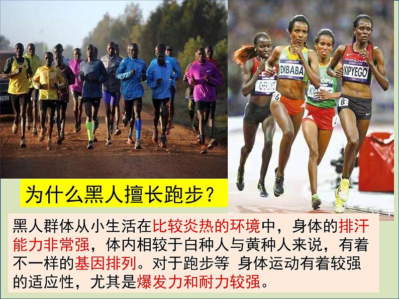 2021-2022学年人教版地理七年级下册第八章第三节《撒哈拉以南的非洲》课件第4页