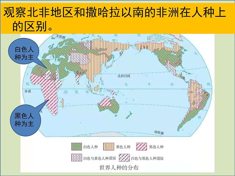 2021-2022学年人教版地理七年级下册第八章第三节《撒哈拉以南的非洲》课件第8页
