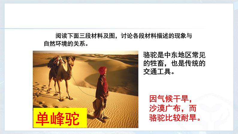 西亚第二课时.ppxt课件PPT第6页