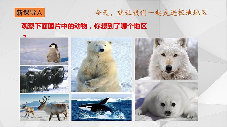 7.5北极地区和南极地区（第一课时）  课件  2021-2022学年七年级地理下册（湘教版）第2页