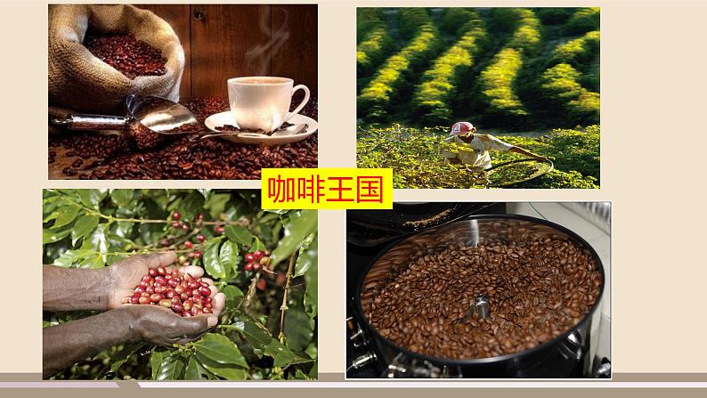 第九章 西半球的国家 第二节  巴西  第2课时课件PPT第1页