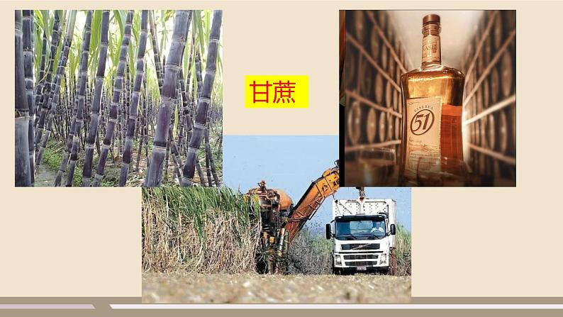 第九章 西半球的国家 第二节  巴西  第2课时课件PPT第2页