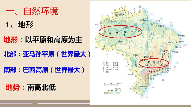 第九章 西半球的国家 第二节  巴西  第2课时课件PPT第6页