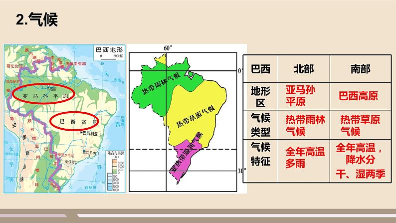第九章 西半球的国家 第二节  巴西  第2课时课件PPT第7页