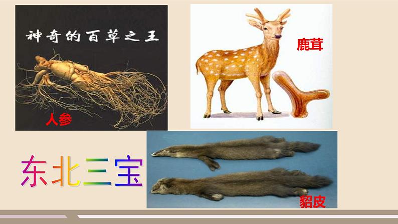 第六章 北方地区 第二节 “白山黑水”——东北三省（第1课时）课件PPT01