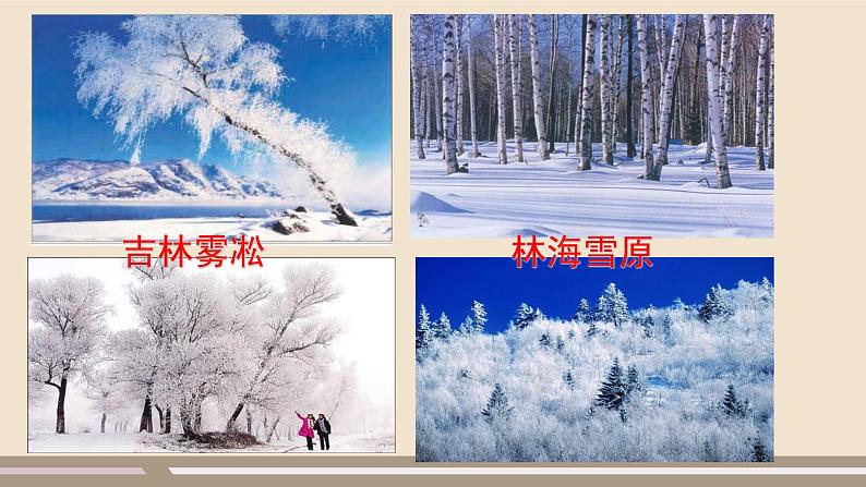 第六章 北方地区 第二节 “白山黑水”——东北三省（第1课时）课件PPT02