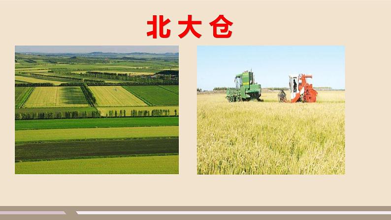 第六章 北方地区 第二节 “白山黑水”——东北三省（第1课时）课件PPT03