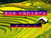 4.1 农业 课件PPT