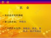 4.1 农业 课件PPT