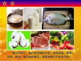 4.1 农业 课件PPT