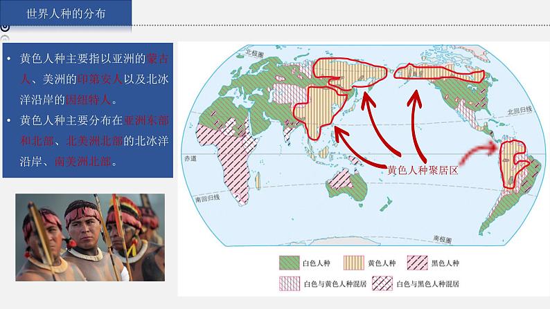 湘教版七上地理授课课件  3.2 世界的人种06