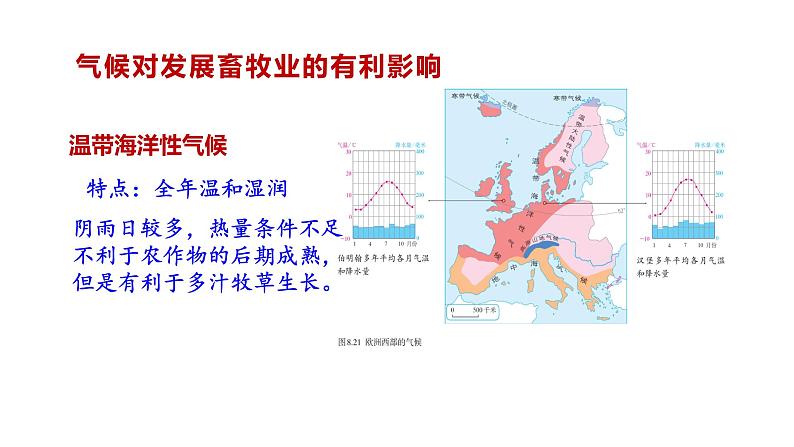 第八章 第二节 欧洲西部 -2021-2022学年人教版地理七年级下册课件第6页