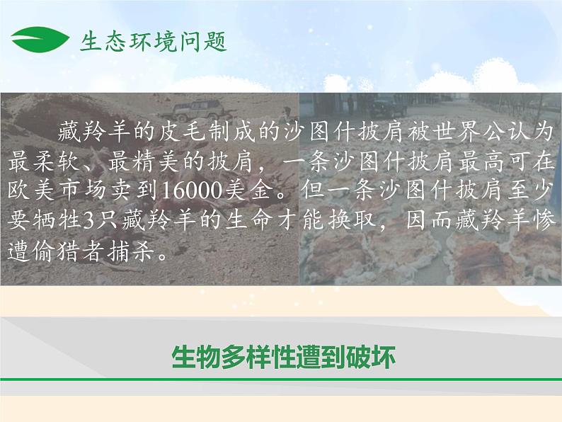 商务星球版地理八年级下册 第八章 第二节 生态环境保护与资源开发（课件）第7页