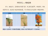 商务星球版地理八年级下册 第八章 第二节 新疆维吾尔自治区(7)（课件）