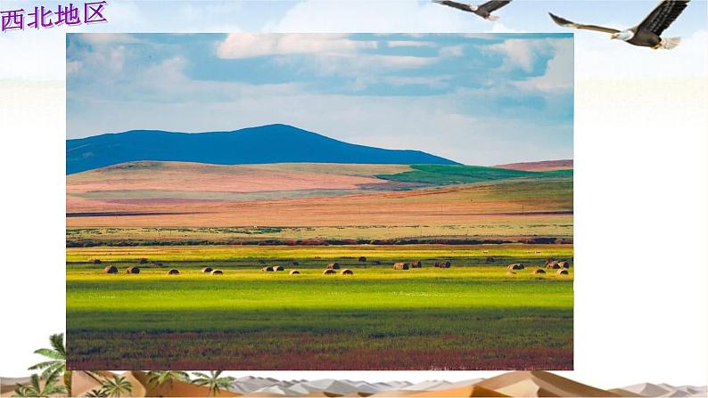 商务星球版地理八年级下册 第六章 第一节 区域特征(4)（课件）第2页