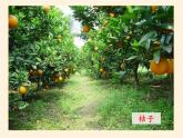 商务星球版地理八年级下册 第六章 第一节 区域特征(8)（课件）