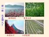 商务星球版地理八年级下册 第六章 第一节 区域特征(3)（课件）
