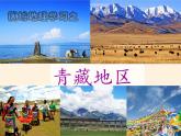 商务星球版地理八年级下册 第六章 第一节 区域特征(11)（课件）