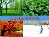 商务星球版地理八年级下册 第六章 第一节 区域特征（课件）