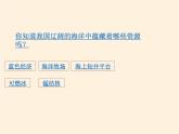 商务星球版地理八年级下册 第九章 第二节 海洋利用与保护（课件）