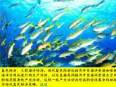商务星球版地理八年级下册 第九章 第二节 海洋利用与保护（课件）