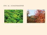 商务星球版地理八年级下册 第七章 活动课 认识南方地区和北方地区的区域差异(4)（课件）