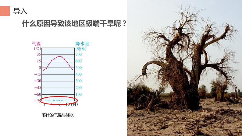 第八章 第二节 干旱的宝地——塔里木盆地 -2021-2022学年人教版地理八年级下册课件第8页