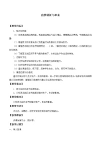 2021学年第六章 北方地区第一节 自然特征与农业教学设计