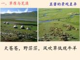 鲁教版（五四学制）七年级下册地理 第六章  第一节 自然特征与农业(10) 课件